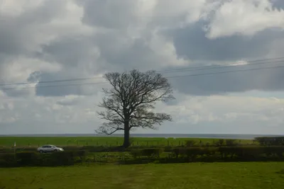 DSC_7205 (Large).JPG